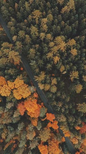 黑料正能量最新地址截图3