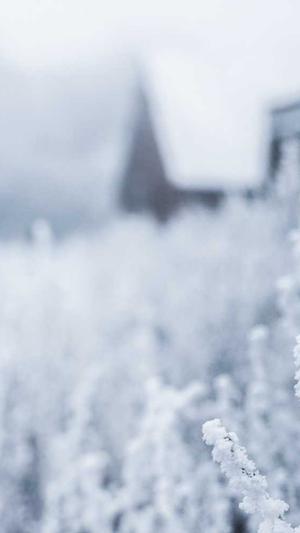 吃瓜群众影院截图3