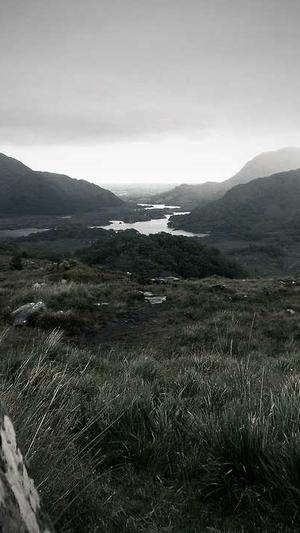 吃瓜群众的瓜截图3