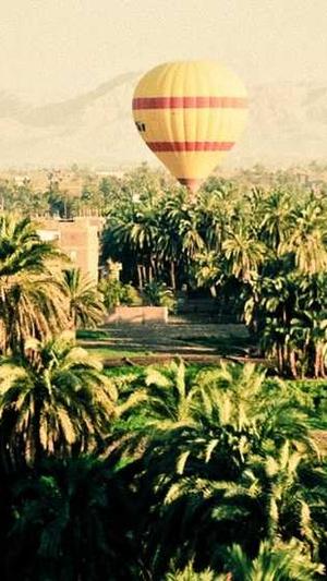 吃哈密瓜会不会长胖截图4