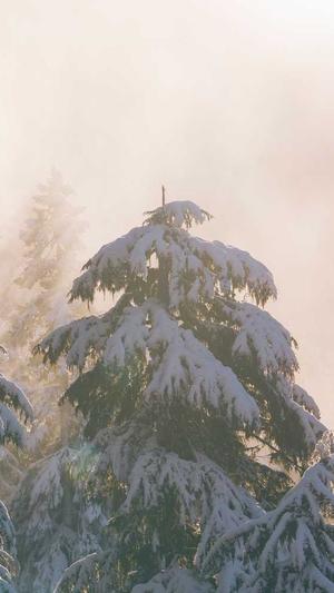 吃瓜黑料爆料在线截图2