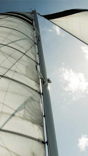 黑料不打烊,万里长征官网截图3