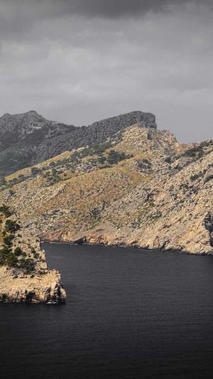 zztt11黑料不打烊截图3