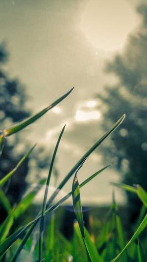 国产吃瓜黑料截图2