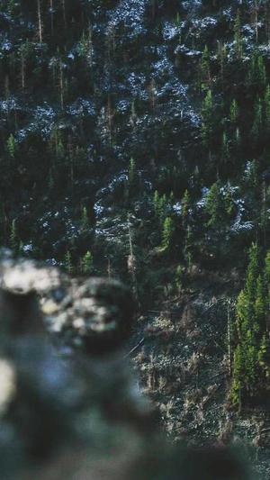 哈密瓜怎么吃截图3