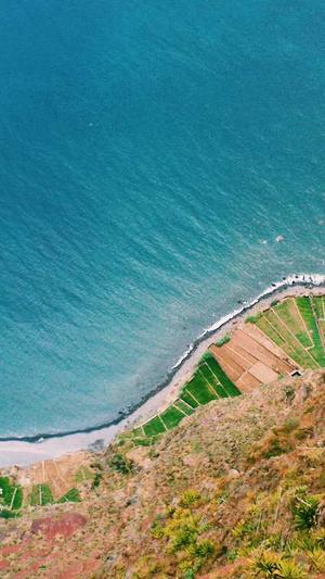 月经期可以吃哈密瓜吗截图4