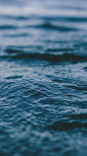 黑料社区官网截图1