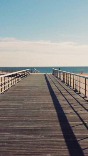 黑料不打料截图2