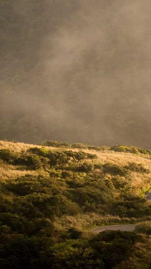 吃瓜爆料51截图1