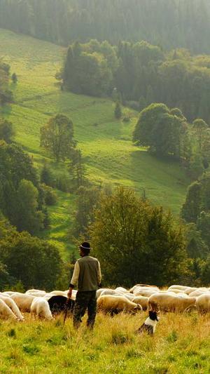 热点吃瓜网站截图3