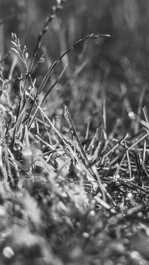 怀孕吃哈密瓜好吗截图2