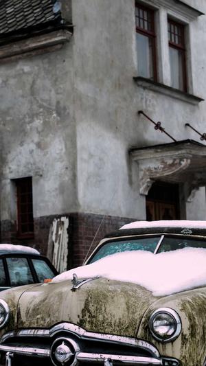 哈密瓜和芒果能一起吃吗截图3