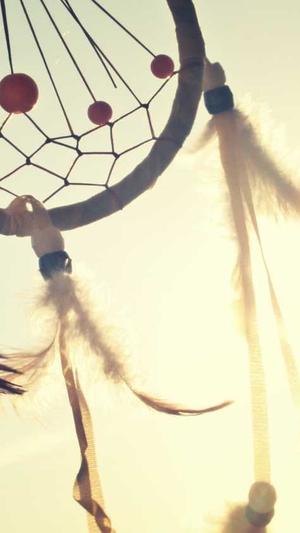 晚上吃哈密瓜会胖吗截图3