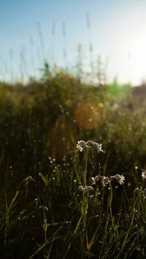 梦见吃瓜什么意思截图3