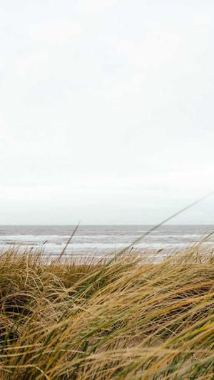 吃佛手瓜的好处截图1