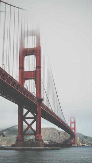 张柏芝黑料截图4