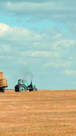 黑料不打烊万里长征截图3