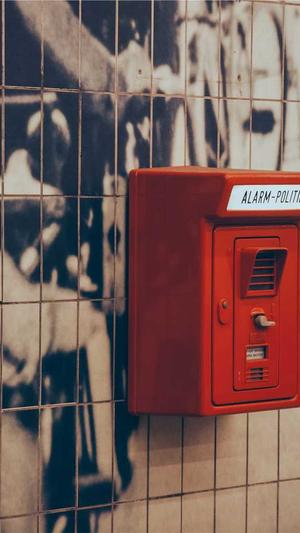 中午吃哈密瓜会胖吗截图2