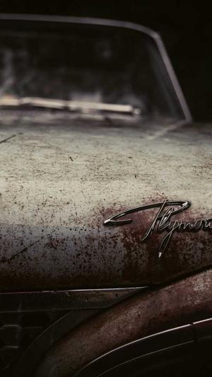 so黑料不打烊截图2