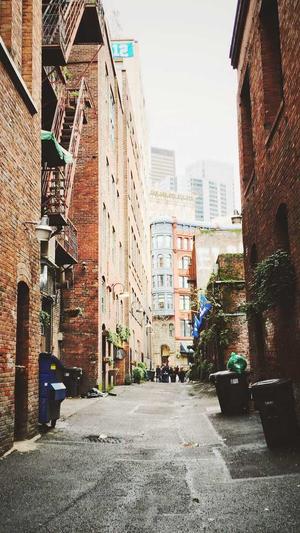 佛手瓜产妇可以吃吗截图5