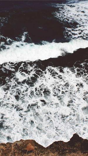 面瓜和鸡蛋能一起吃吗截图4