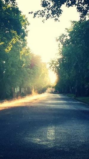 黑料不打烊导航截图2