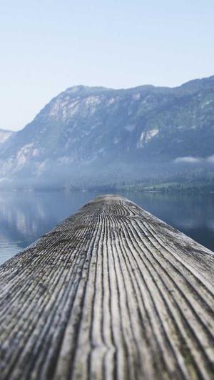 黑料不打烊官网首页截图4