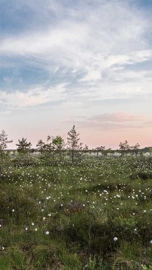 吃瓜是什么意思截图3