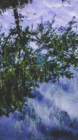 黑料正能量网站入口截图5