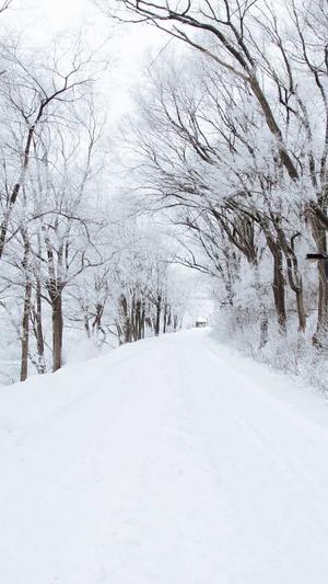 哈密瓜如何吃截图2