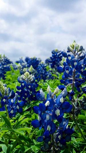 黑料福利导航截图2