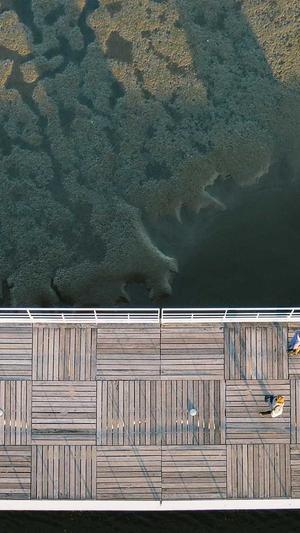 吃瓜会不会胖截图3