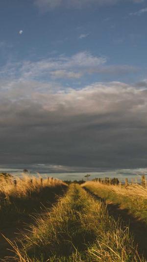 黑料不打烊线路入口截图1