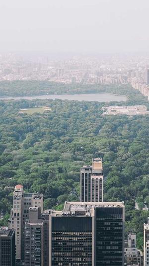 qq吃瓜内黄截图2