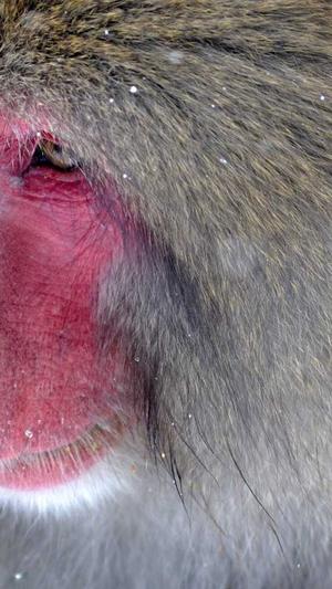 吃瓜资源分享群截图2