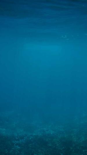 51-爆料吃瓜热心的朝阳截图3