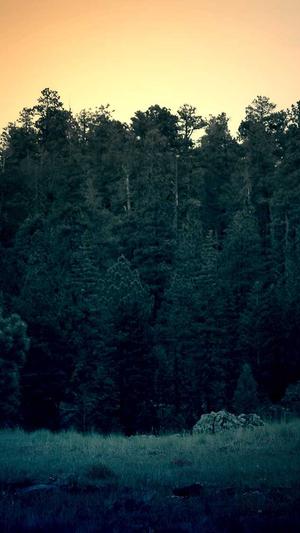 51吃瓜fun吃瓜网截图3