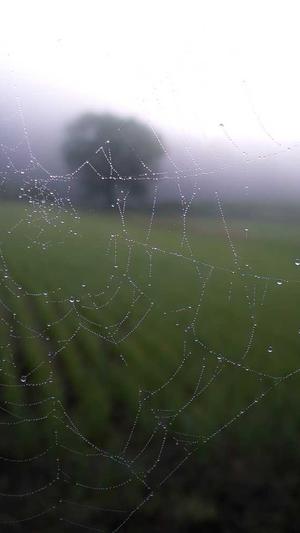 treasure黑料截图5