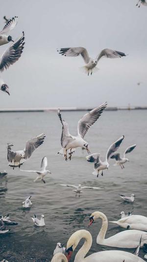 黑料不打烊张津瑜截图1