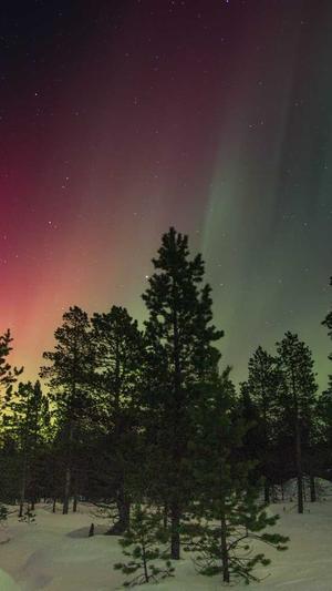 黑料不打烊tttzzz07入口截图1