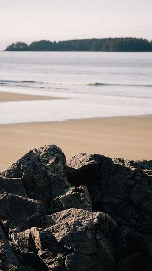 91吃瓜在线截图4