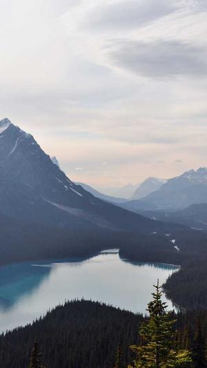 天涯论坛明星八卦黑料截图3
