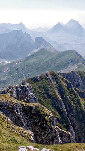 戴燕妮黑料截图4