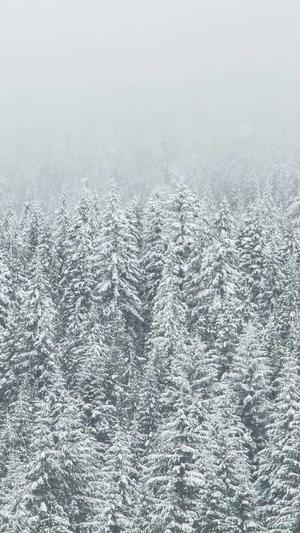 孕妇吃吊瓜的禁忌截图2