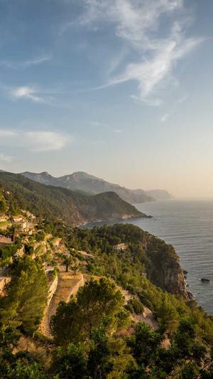 孕妇可以吃哈密瓜吗中期截图3