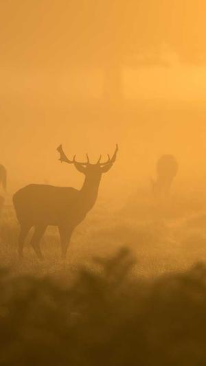 黑料不打烊入口截图2