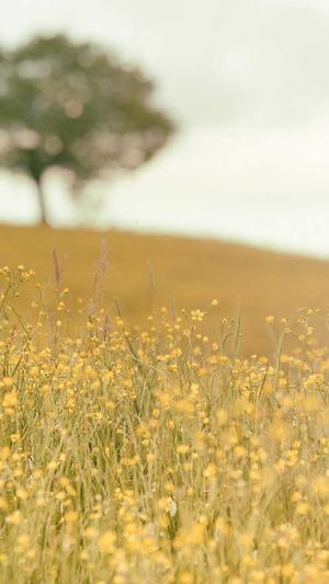 吃瓜群众是什么意思由来截图4