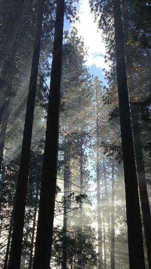 黑料网网址截图3