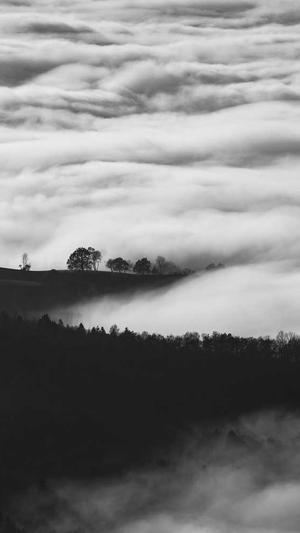 黑料不打烊地址截图3