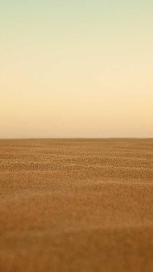 黑坑钓罗非窝料截图1